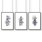 Framed prints bathroom | set of 3 Shabby Chic wall prints