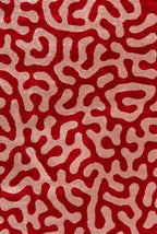 Joli Doodle Red & Pink Rug