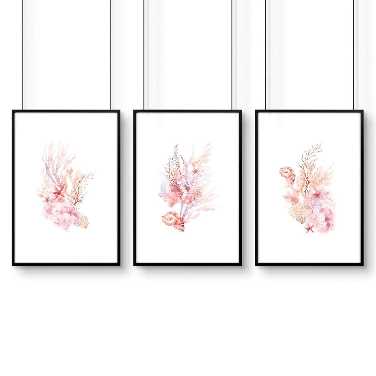 Large Coastal Wall Art | Set of 3 Seashells Wall art Prints