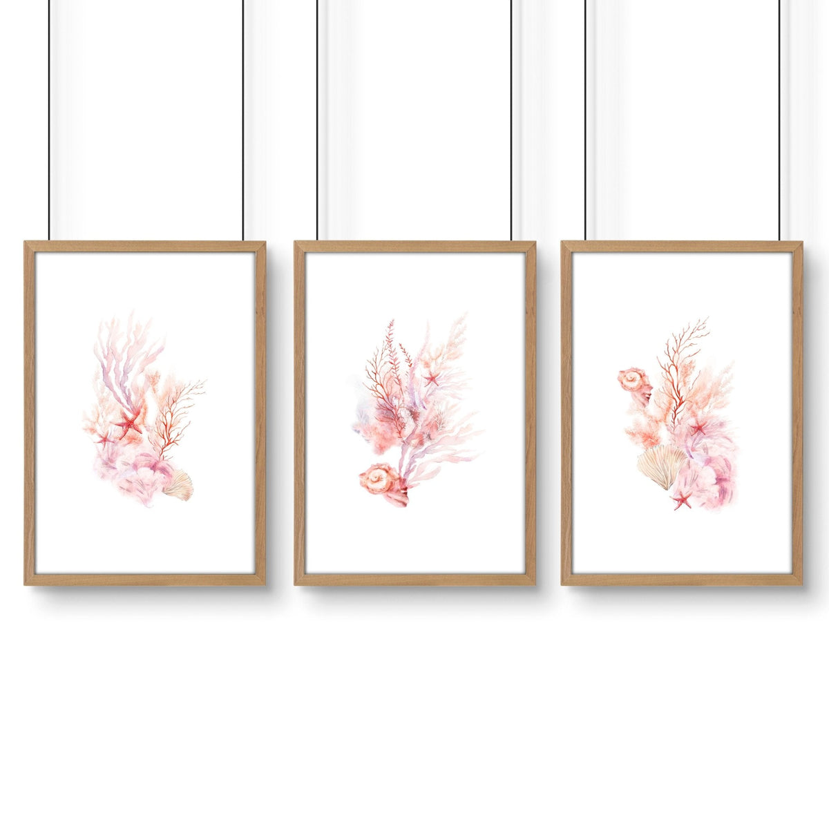 Large Coastal Wall Art | Set of 3 Seashells Wall art Prints