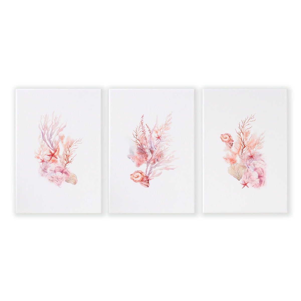 Large Paintings For Wall | Set of 3 Seashells Wall art Prints
