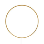 Modern Black Gold Circle LED Wall Lamp - MOOAZAA