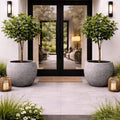 Modern home entrance with potted trees and lanterns