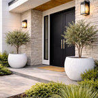Modern house entrance with black door, white planters, and decorative lights.