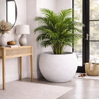 Potted plant in a modern interior setting with a table and lamp.