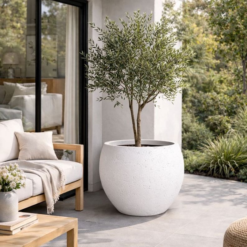 Outdoor patio with a large white planter featuring a tree, wooden bench, and coffee table.