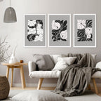 Pictures For Living Room | Set of 3 Botanical Wall art Prints
