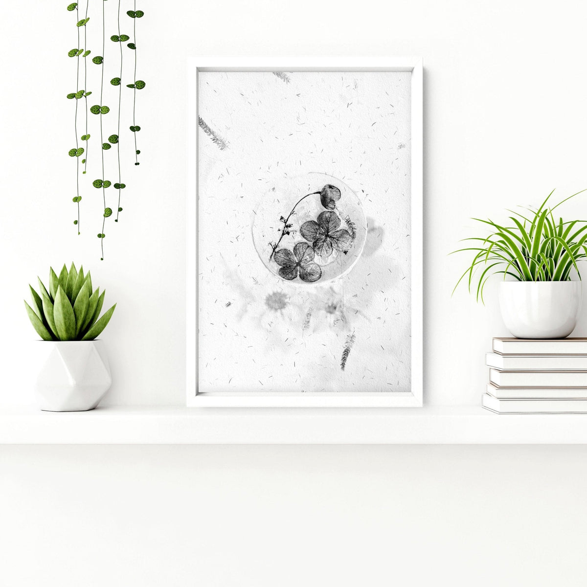 Bathroom Wall Pictures | Set of 3 Botanical Prints