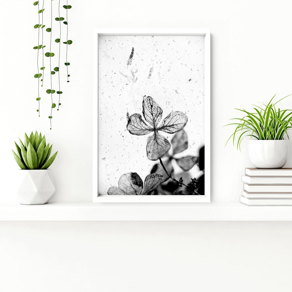 Bathroom Wall Pictures | Set of 3 Botanical Prints
