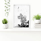 Bathroom Wall Pictures | Set of 3 Botanical Prints