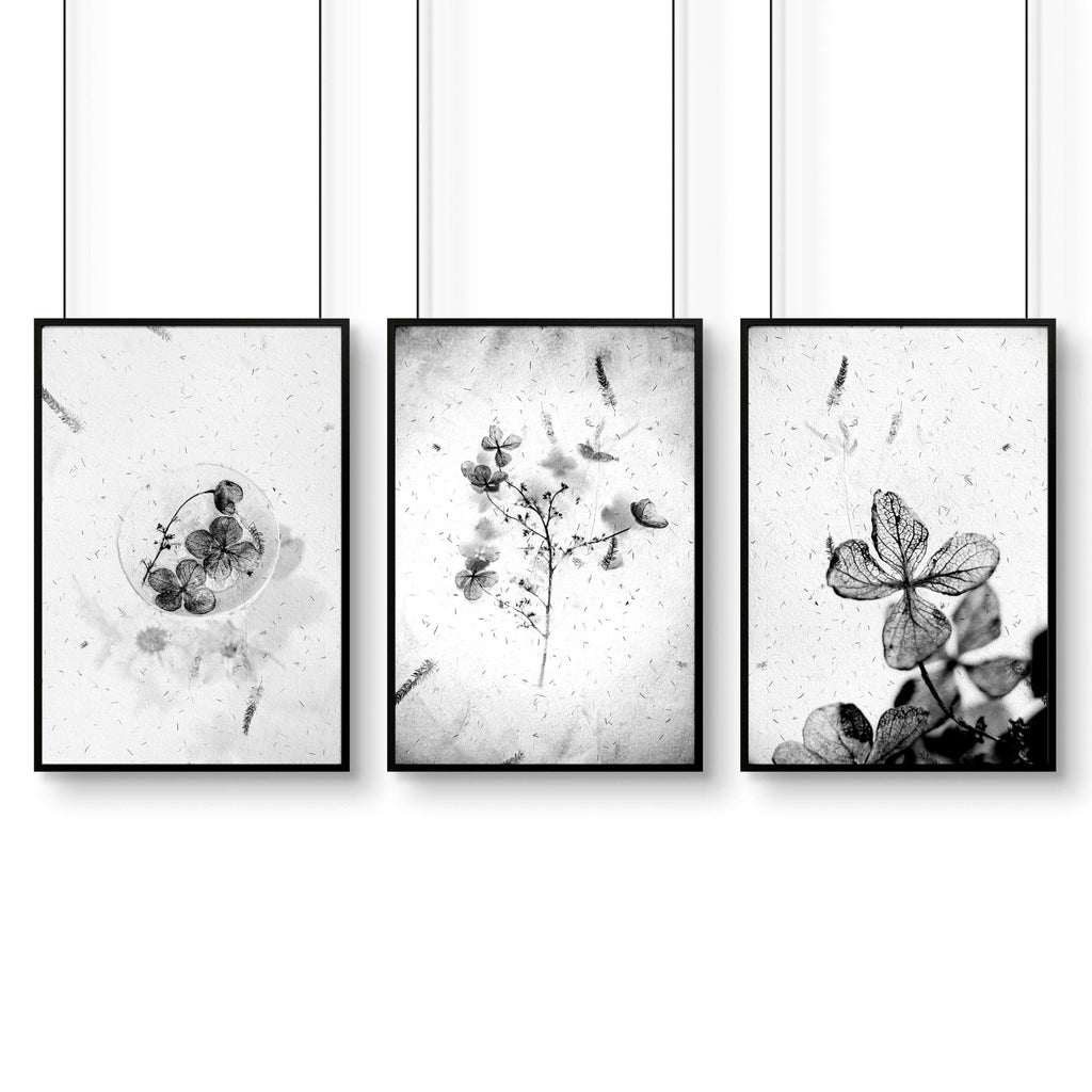 Bathroom Wall Pictures | Set of 3 Botanical Prints