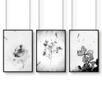 Bathroom Wall Pictures | Set of 3 Botanical Prints