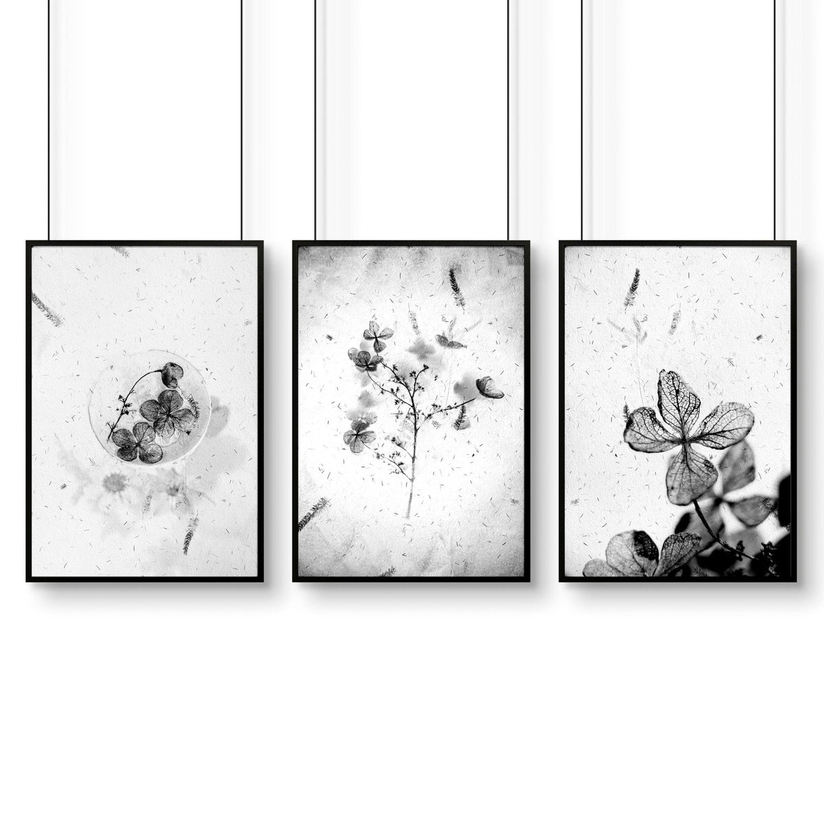 Bathroom Wall Pictures | Set of 3 Botanical Prints