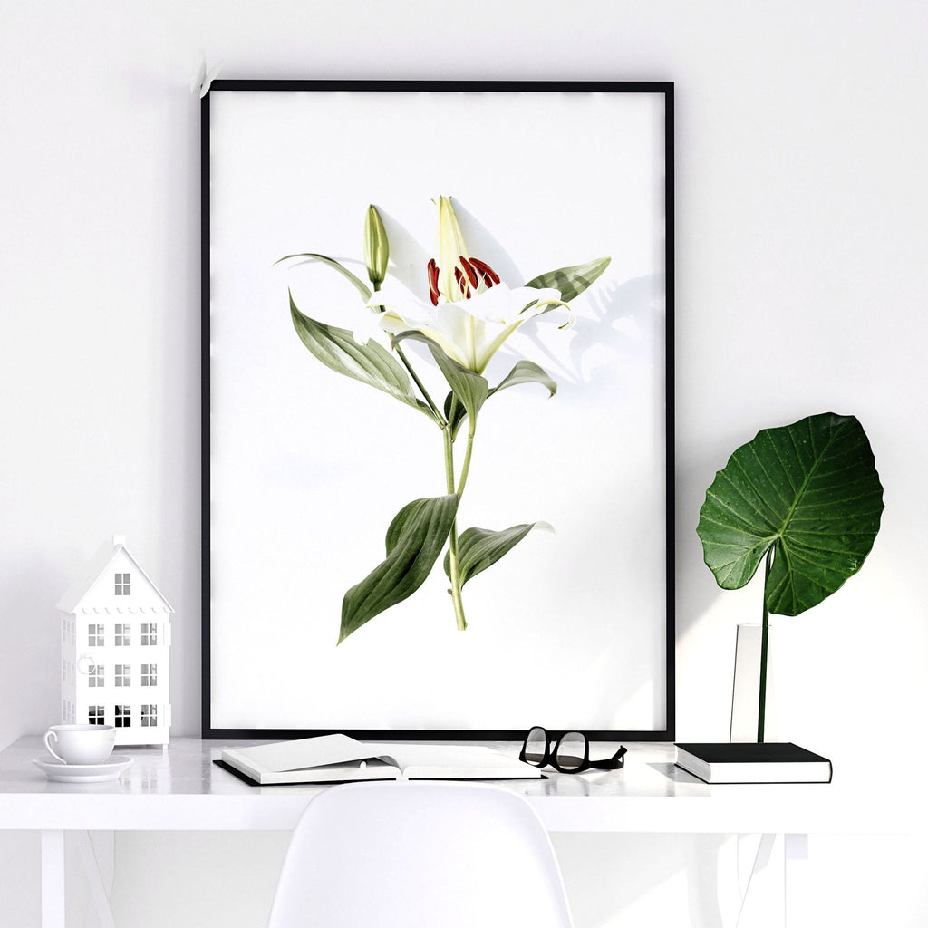 Kitchen Art – Set of 2 Shabby Chic Botanical Prints