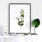 Kitchen Art – Set of 2 Shabby Chic Botanical Prints