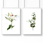 Kitchen Art – Set of 2 Shabby Chic Botanical Prints