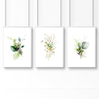 Set of 3 Botanical Prints Framed | Home Office Wall Art