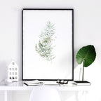 Botanical Prints Wall Art | Set of 3