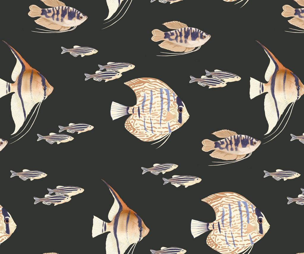 Shoal - MOOAZAA
