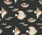 Shoal - MOOAZAA