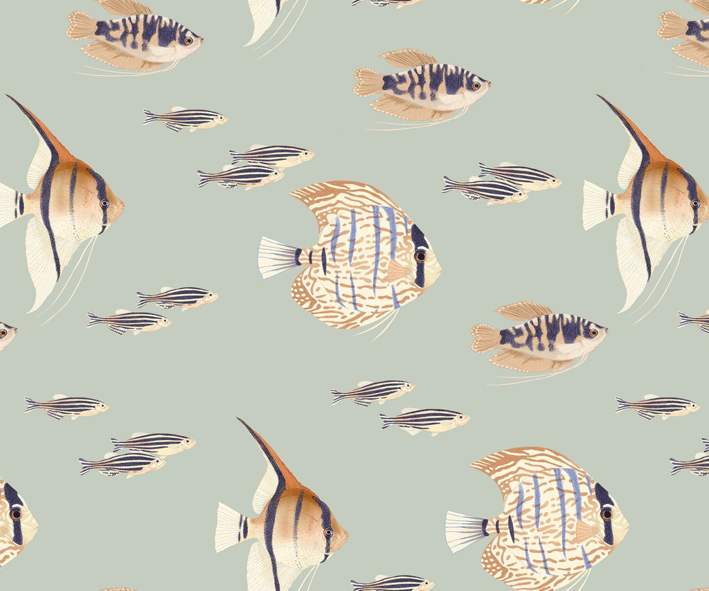 Shoal - MOOAZAA