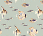 Shoal - MOOAZAA
