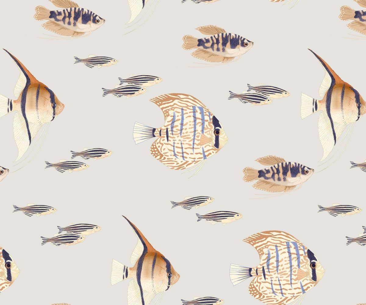 Shoal - MOOAZAA