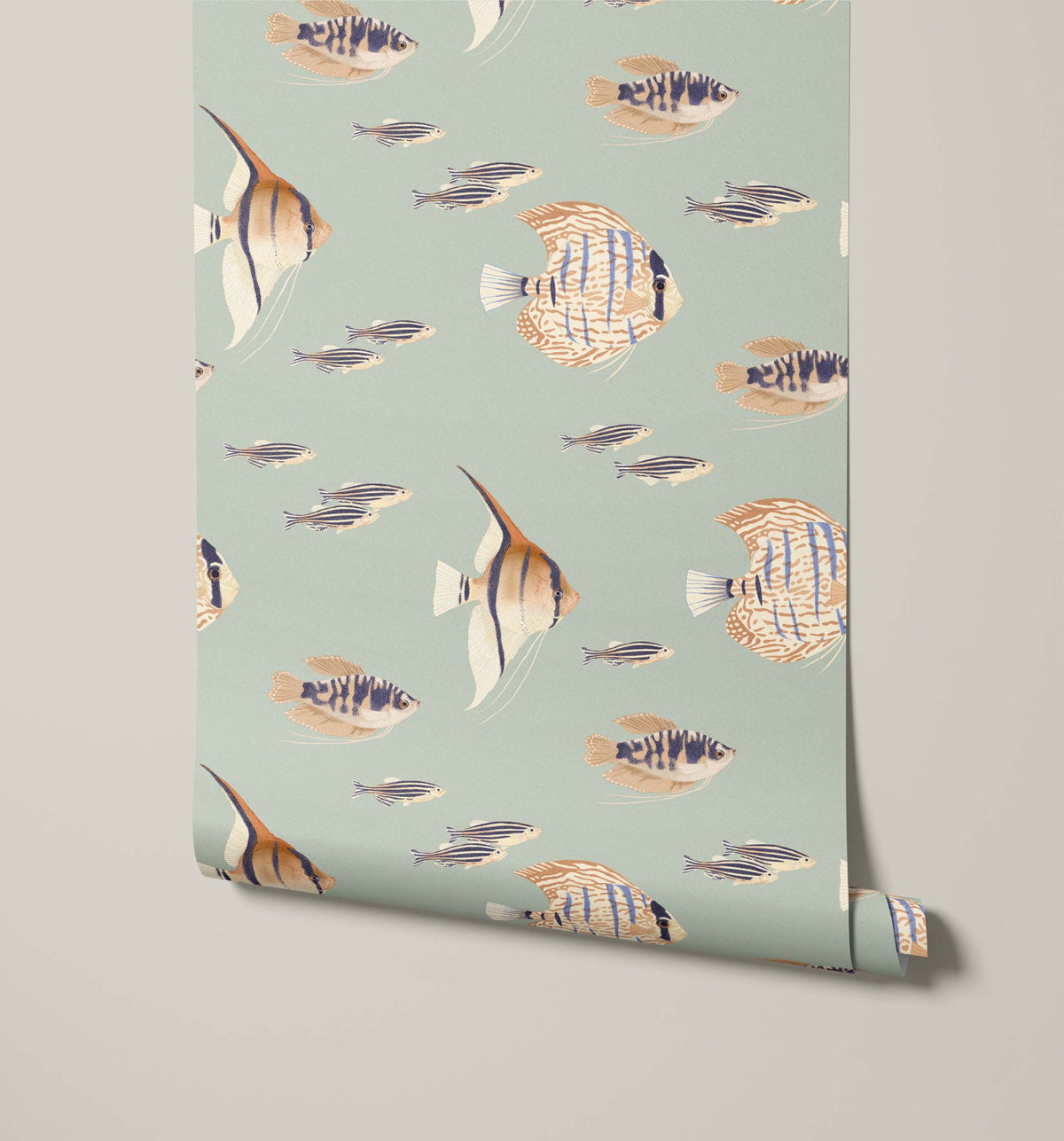 Shoal - MOOAZAA