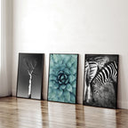 Soothing Wall Art | Set of 3 African Wildlife Wall art Prints