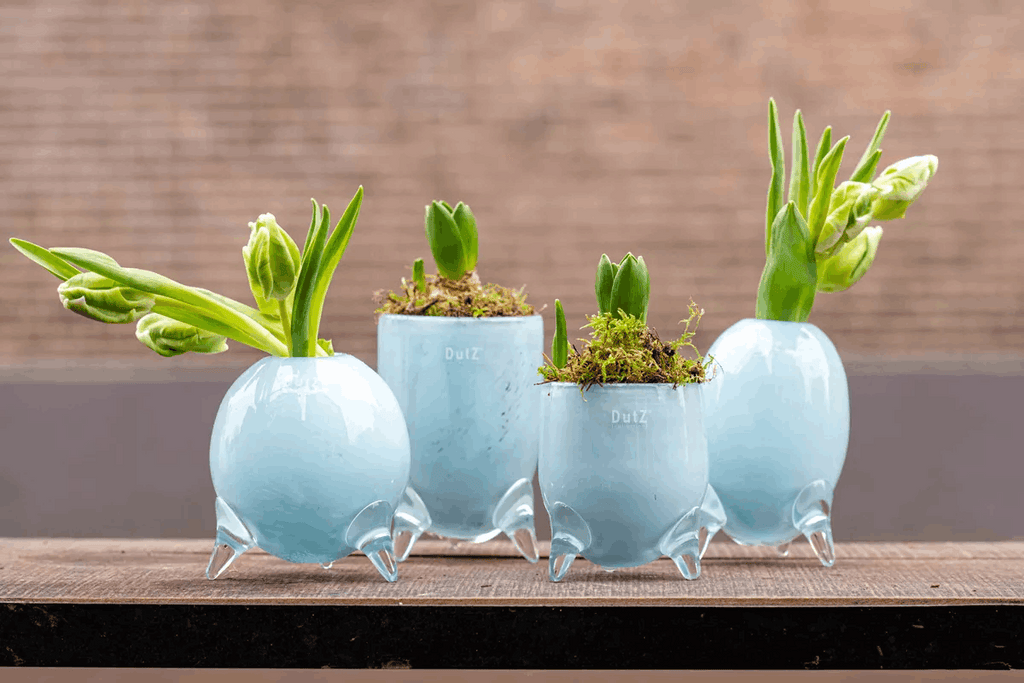 EVITA Mouthblown Glass Vases with Feet - Set of 4pcs - in Multiple Colours