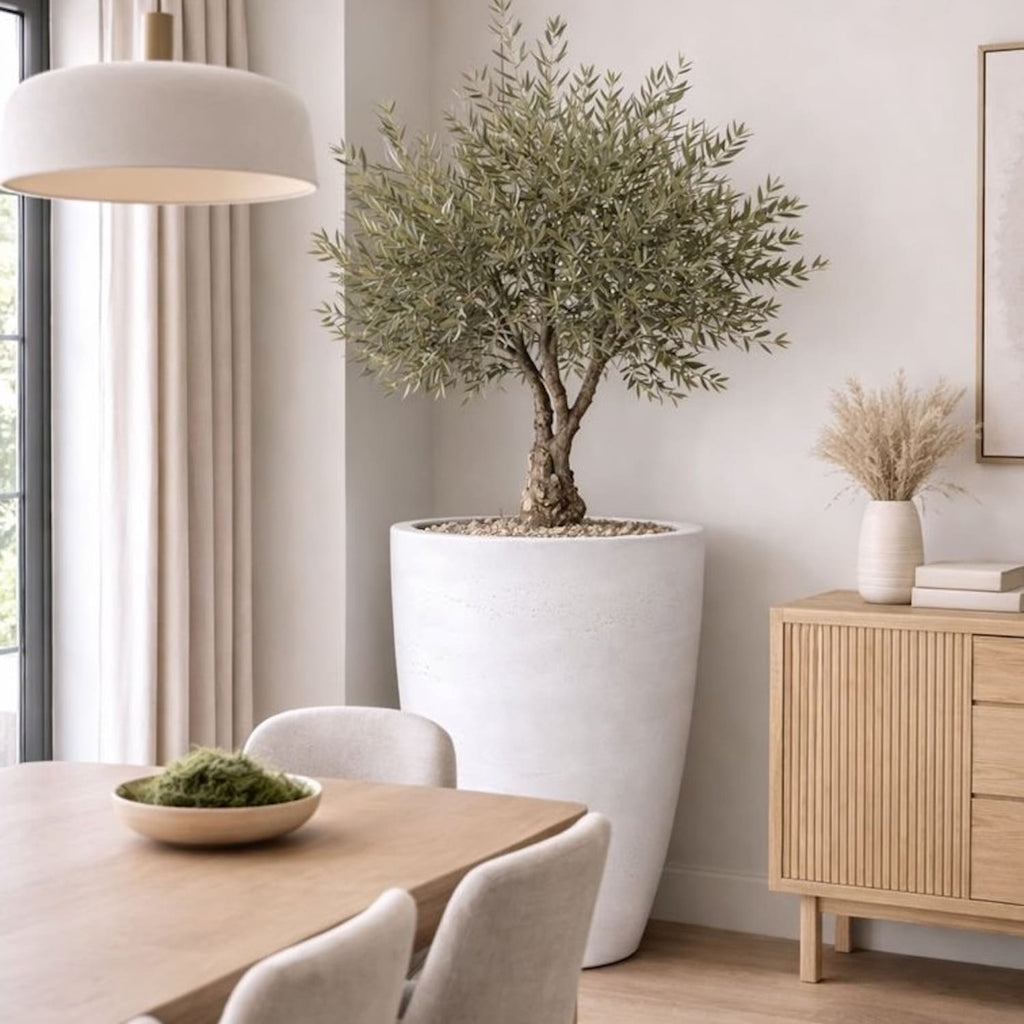 Modern interior with a large potted plant, dining table, and wooden sideboard.
