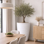 Modern interior with a large potted plant, dining table, and wooden sideboard.
