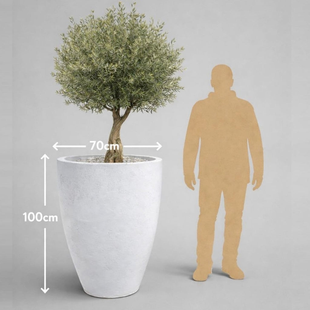 Potted plant with dimensions and a person silhouette for scale on a gray background