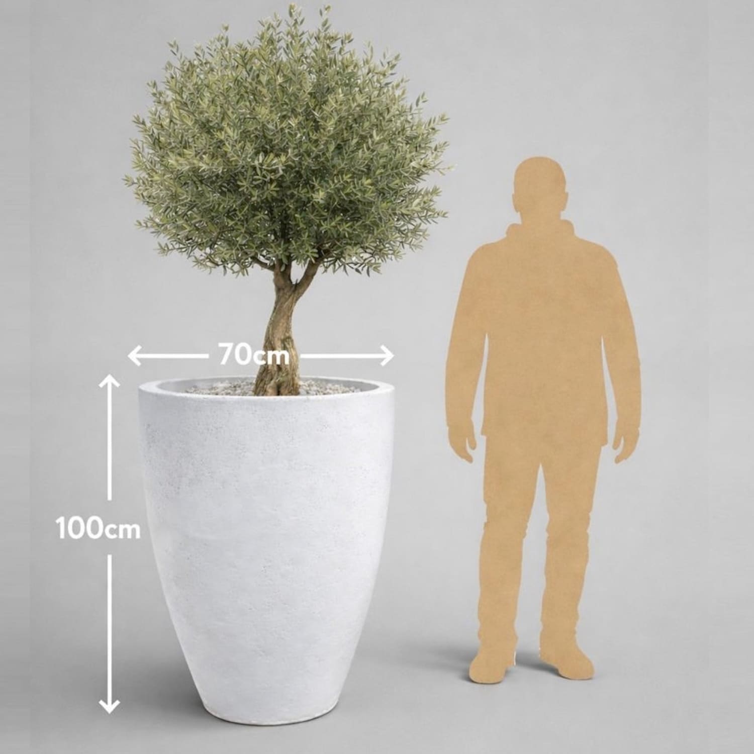 Potted plant with dimensions and a person silhouette for scale on a gray background