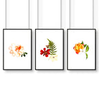 Framed wall art for Bathrooms | set of 3 wall art prints