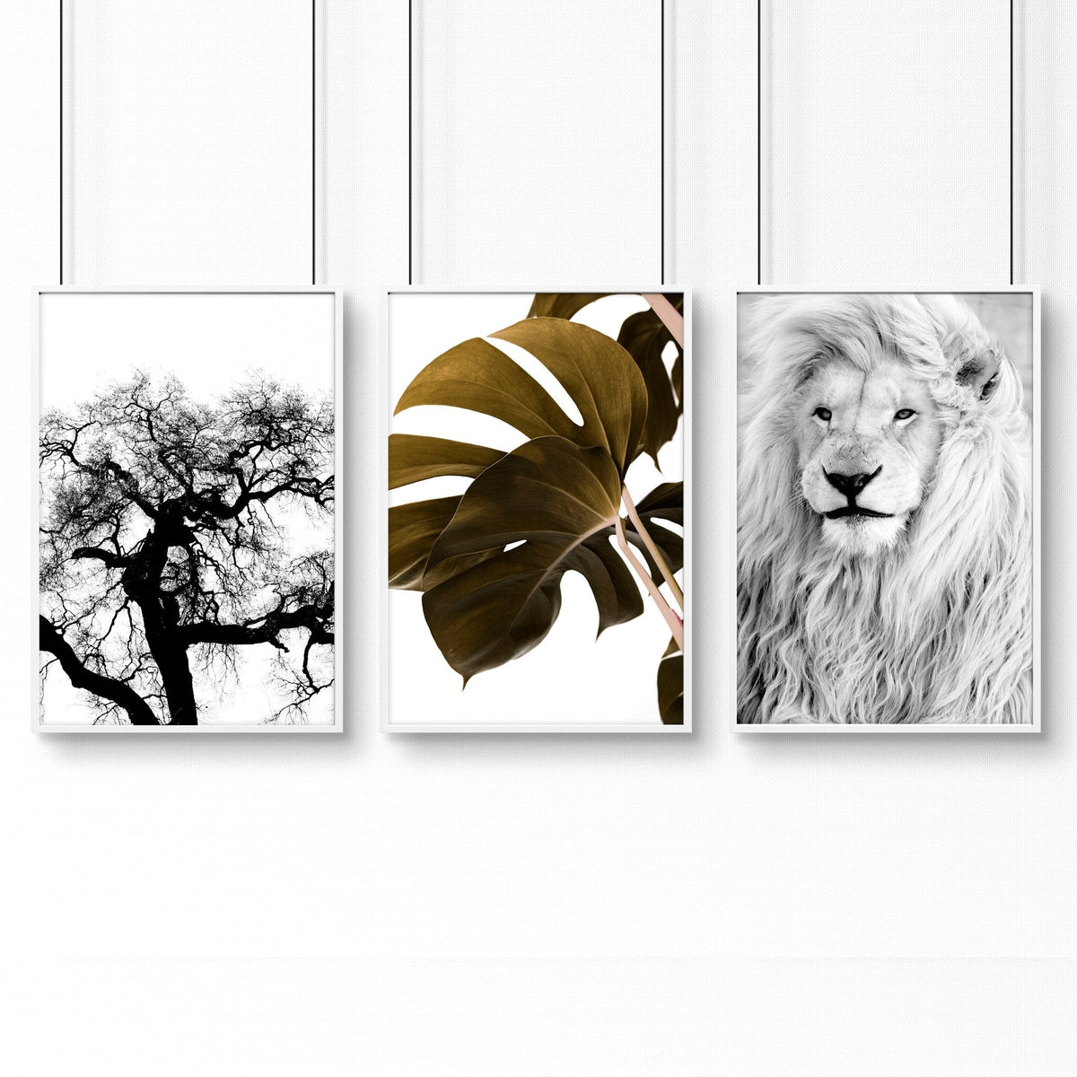 Wall Hanging Art | Set of 3 African Wildlife Wall art Prints