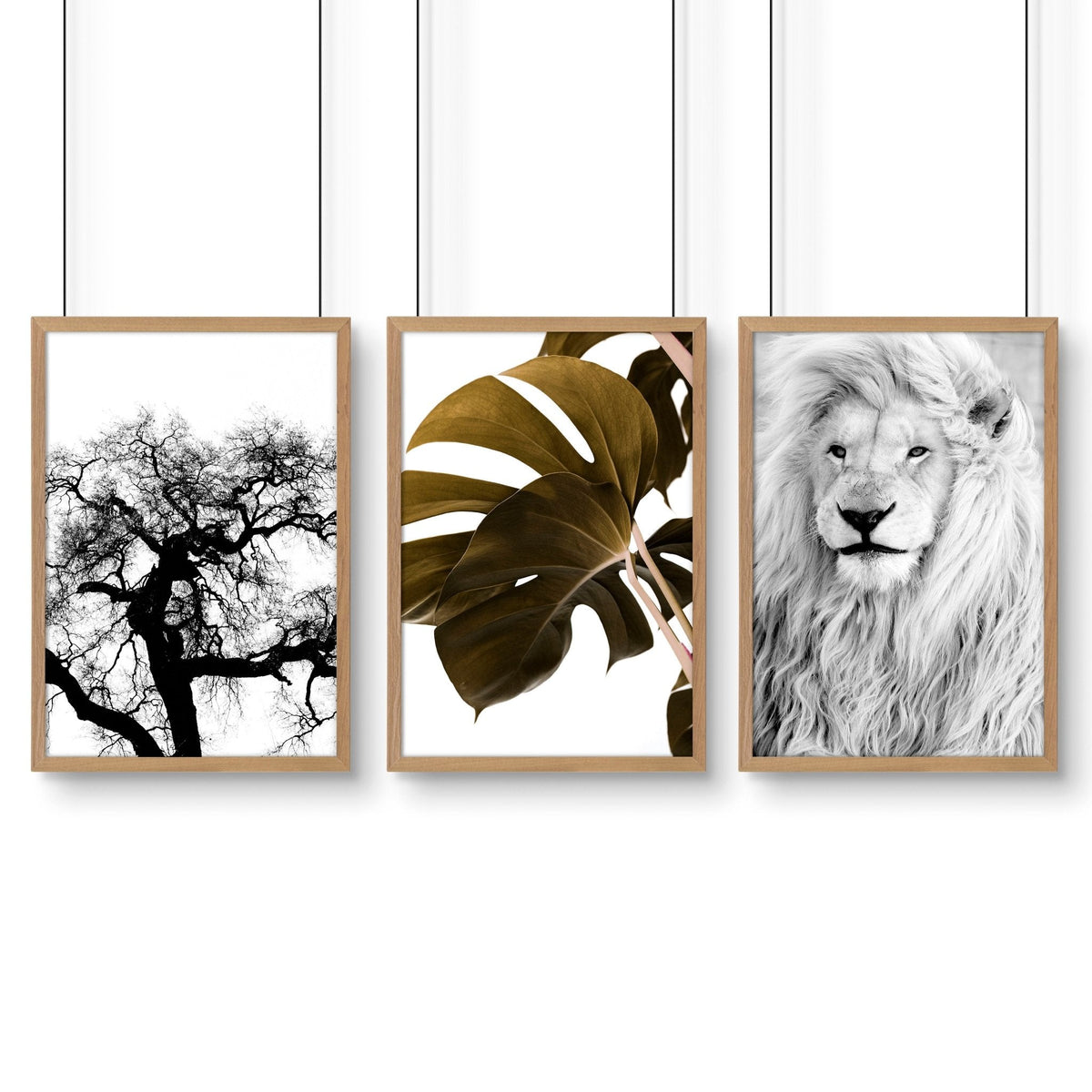 Wall Hanging Art | Set of 3 African Wildlife Wall art Prints